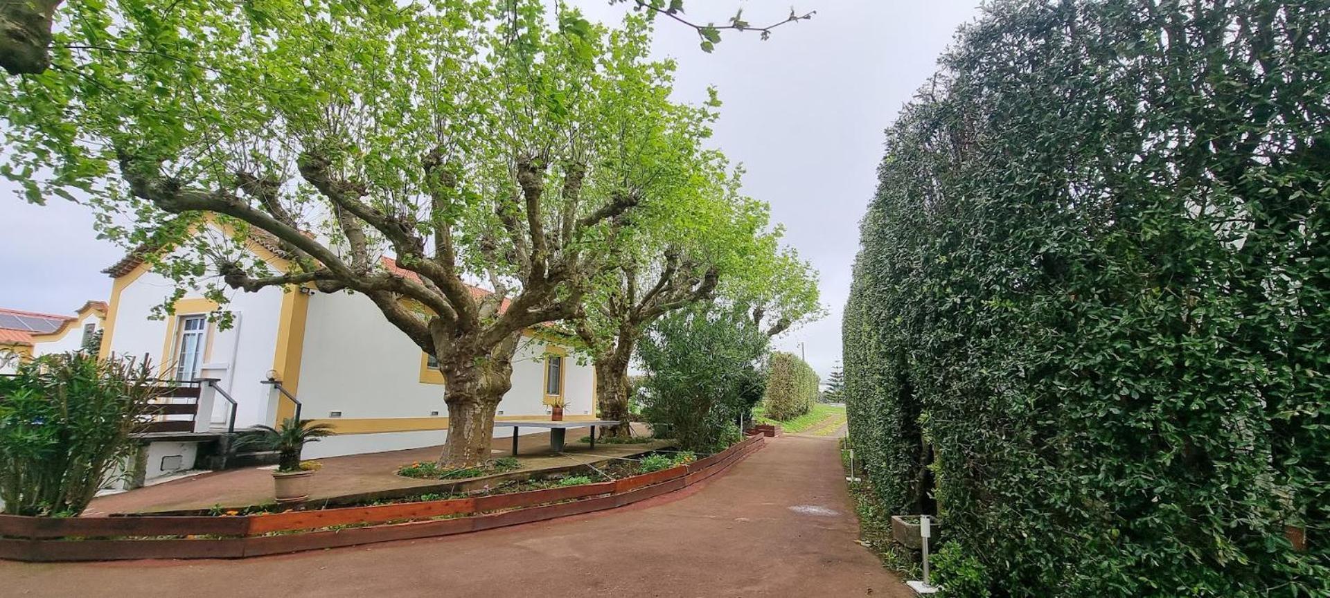 Quinta Sao Jose Da Relva Villa Ponta Delgada Eksteriør billede